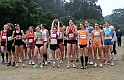 2011 BayXC-088